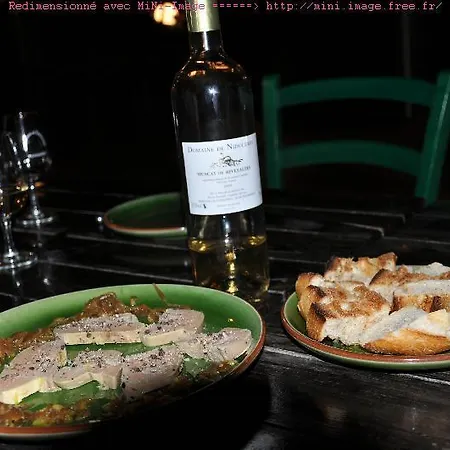 Domaine De Nidoleres Guest house Tresserre