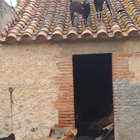 Domaine De Nidoleres Guest house