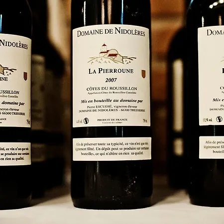 Domaine De Nidoleres 3* Tresserre