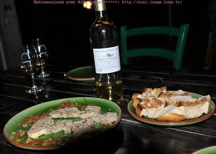 Domaine De Nidoleres Pensión Tresserre