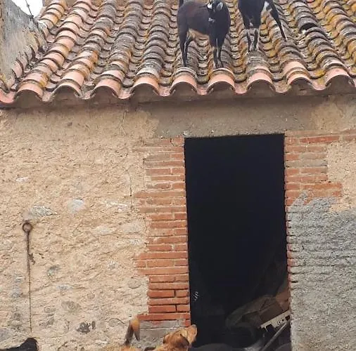 Domaine De Nidoleres Pensión