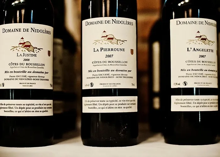 Domaine De Nidoleres 3* Tresserre